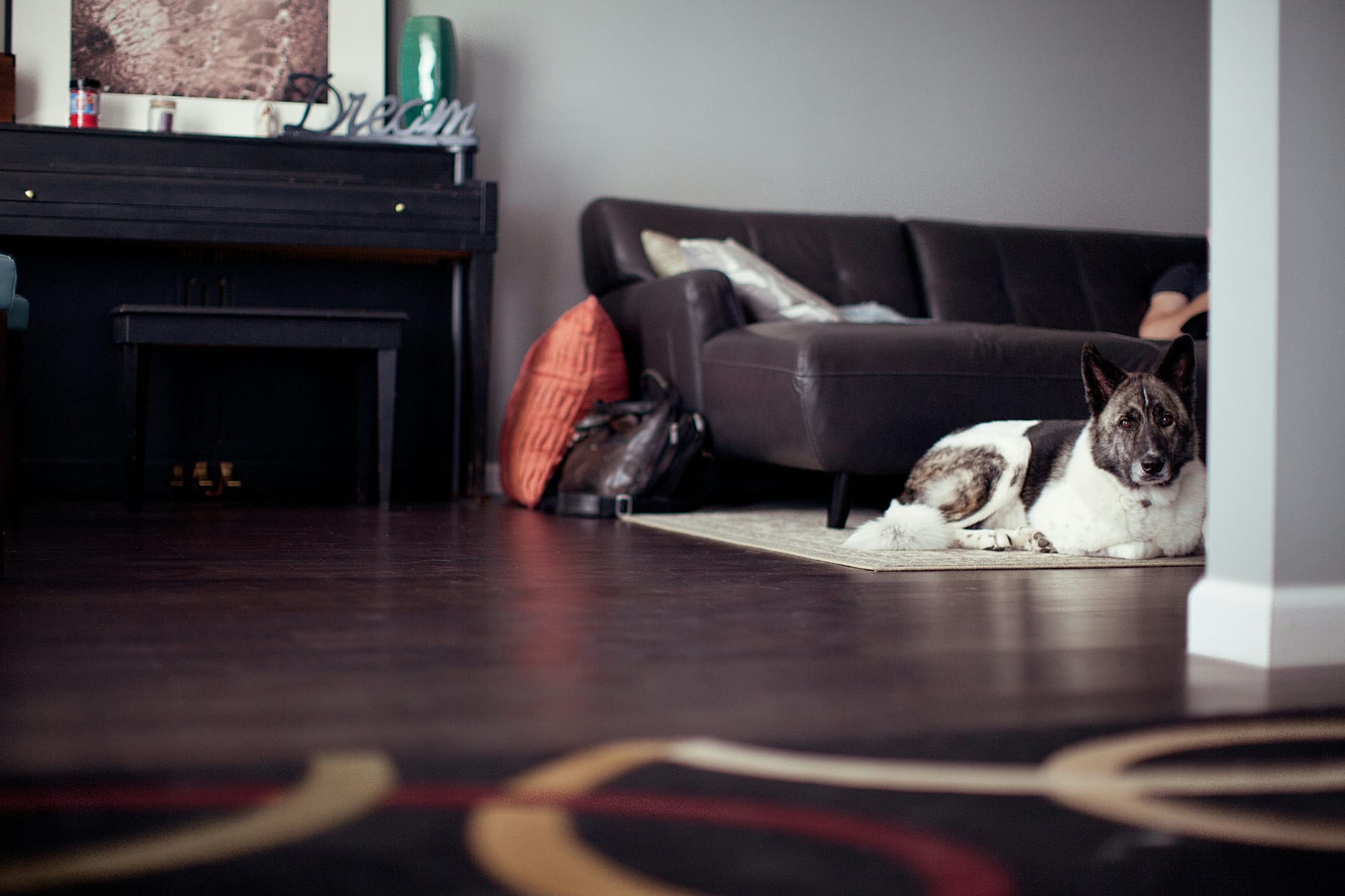 Worried dog laying down on a rug in another room, watching the person vacuum.