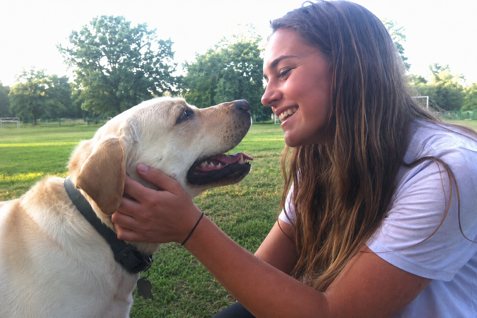 Dog professional smiling with a relaxed dog outdoors, illustrating who may fit a career in dog behavior consulting.