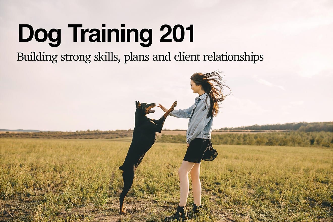 For dog trainers who know the basics but want better plans, better follow-through, and better results