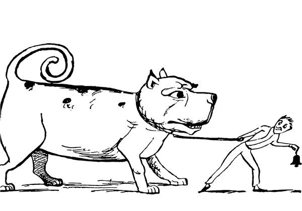 5 reasons you do NOT want to become a dog trainer