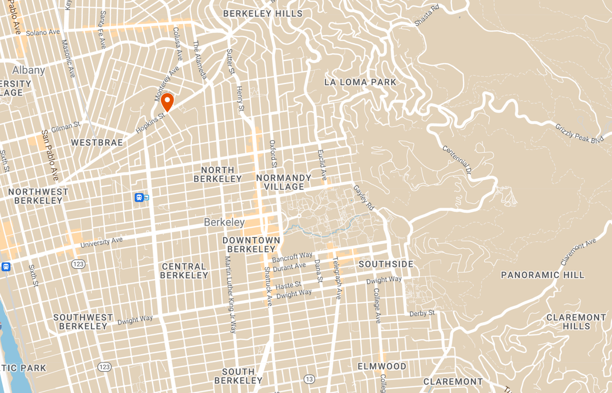 Woman, 78, staves off robbery attempt by teen with BB gun