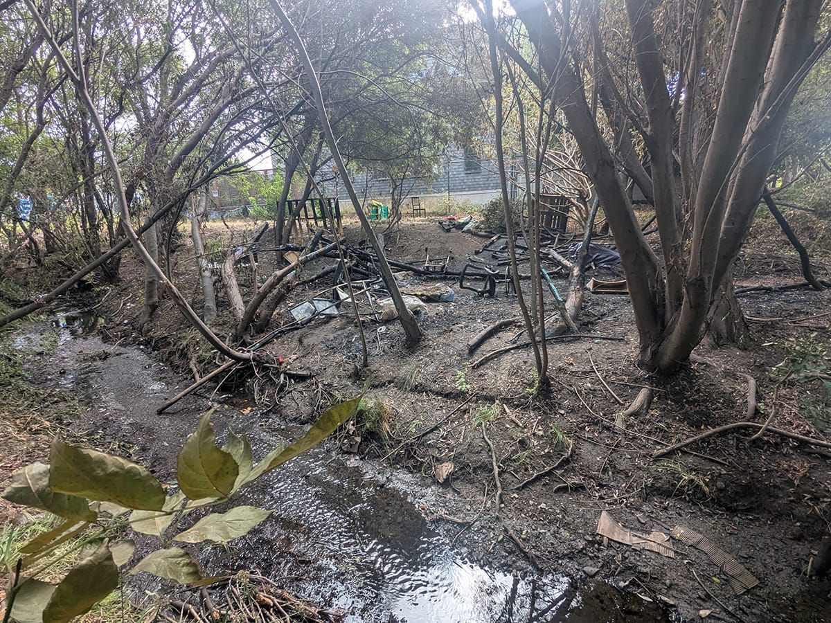 Berkeley encampment fire puts the focus on Codornices Creek