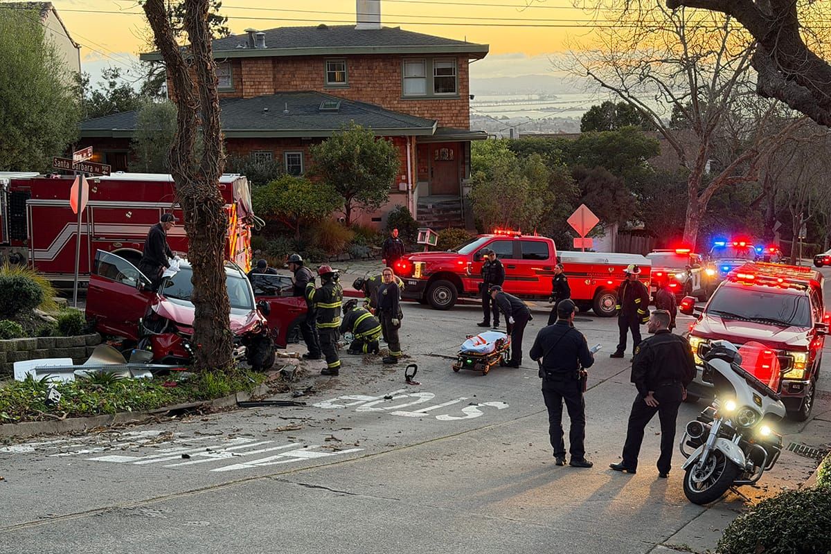 Berkeley man, 76, crashes into tree on Marin Avenue