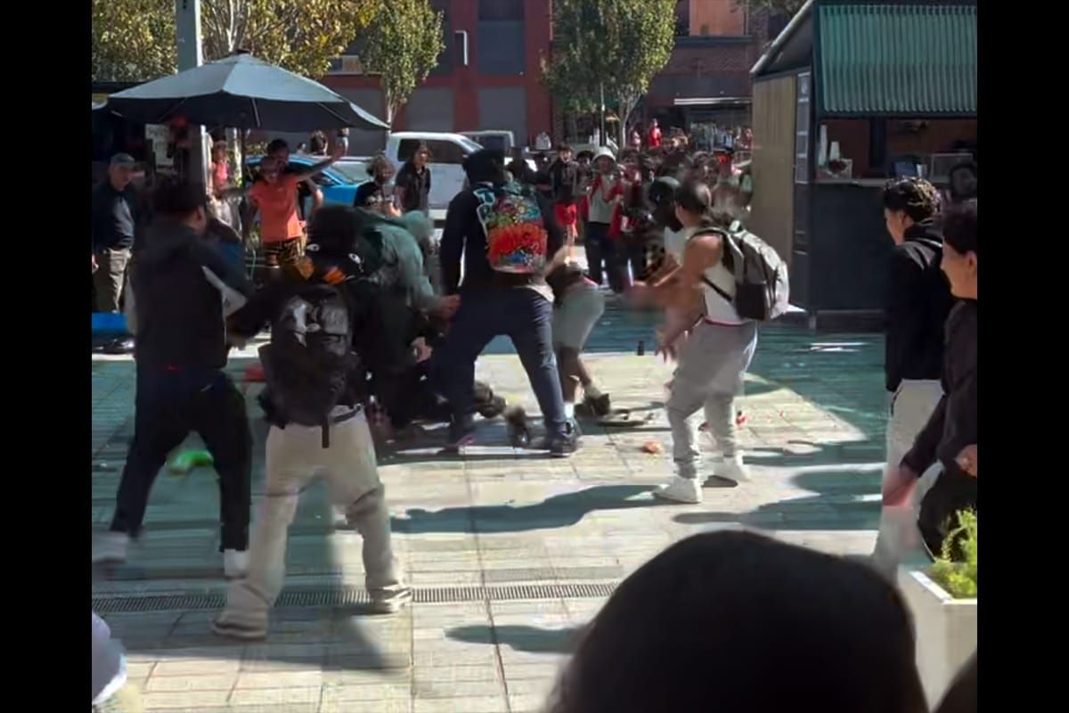 Berkeley High parents raise alarm after Unity Week fights