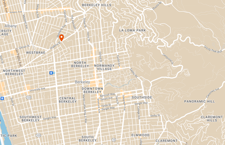 Woman, 78, staves off robbery attempt by teen with BB gun