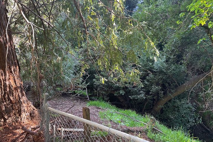 Man's body recovered from steep canyon in Berkeley Hills