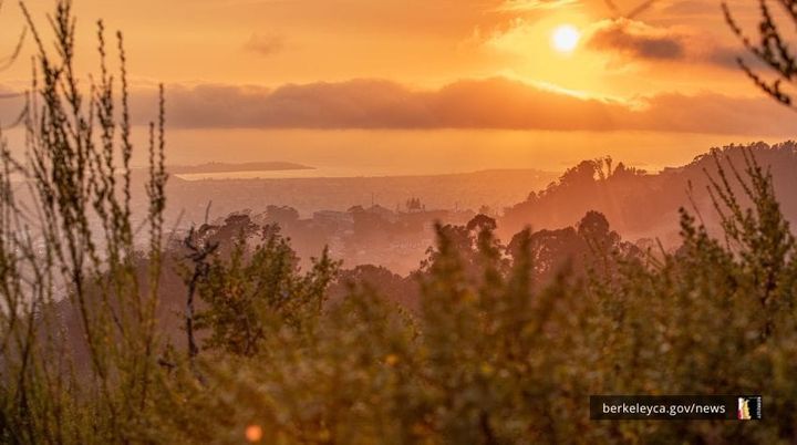 Help Berkeley prepare for natural hazards and disasters