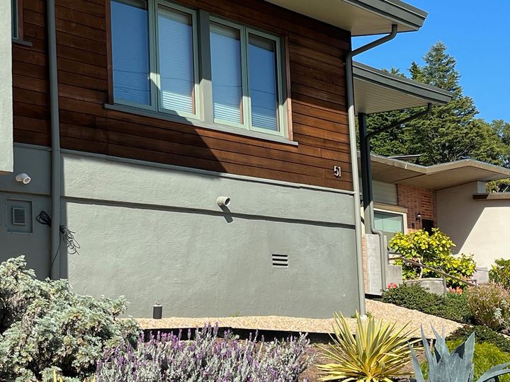 Berkeley may ban plants close to buildings in top wildfire zones