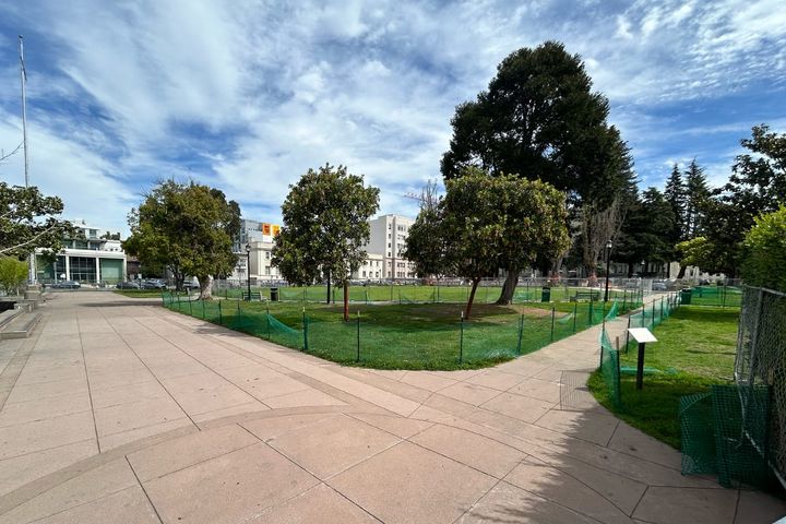 Berkeley's Civic Center Park encampment has been removed