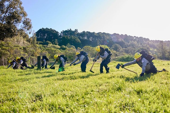 Young people are helping keep Tilden park safer from wildfire