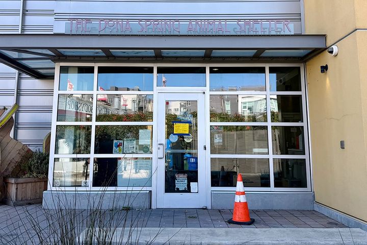 Dog seizure preceded Berkeley Animal Shelter fire