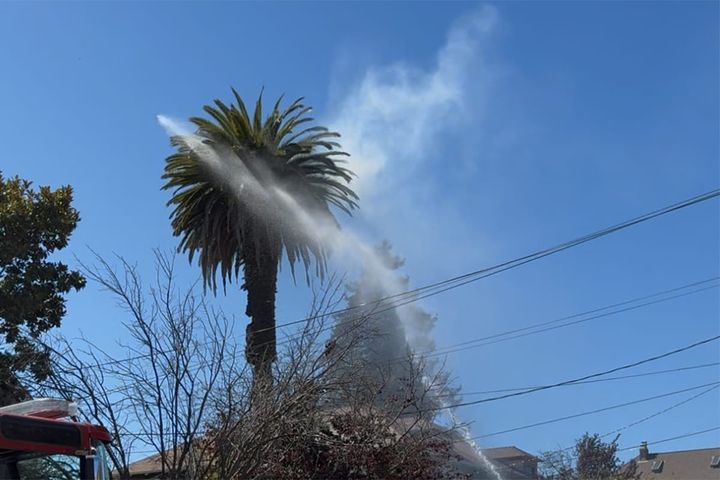 Firefighters douse burning palm tree after battery fire: Video