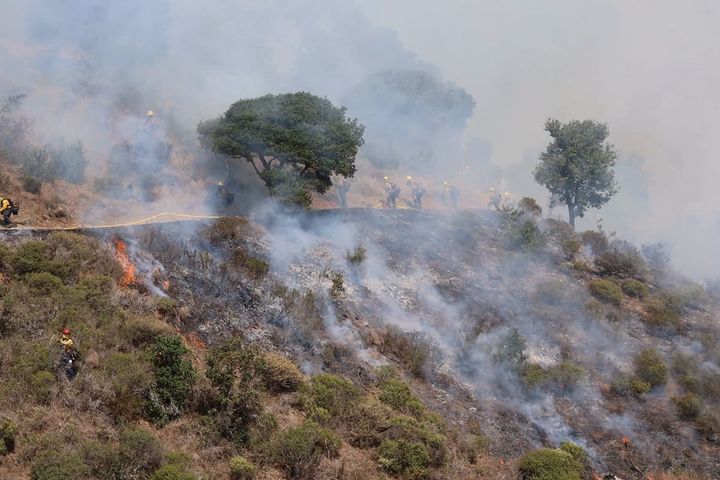 Why did officials cut the Angel Island burn short?