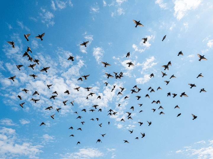 Many birds flying in formation in a partly cloudy blue sky