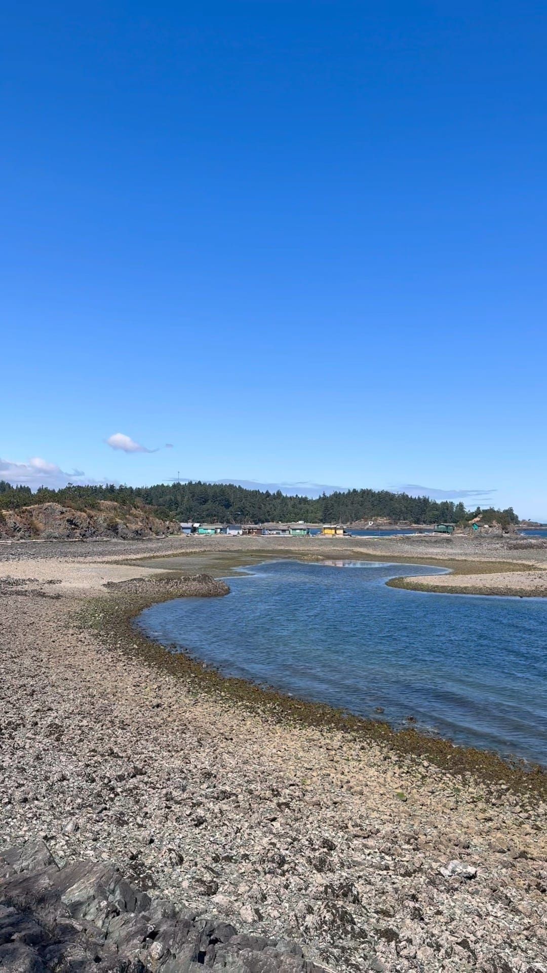 Shack Island