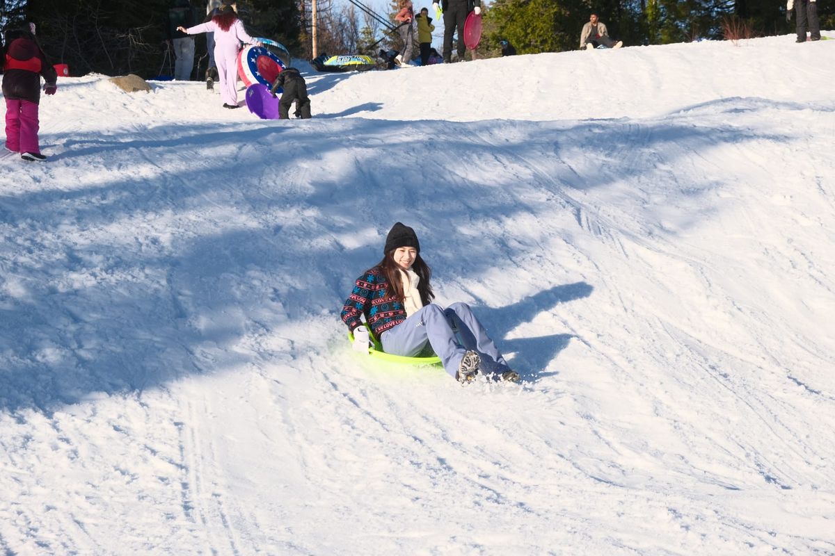 1月反思 | 身體微恙、台灣空運窗簾、樹倒了、健身app、Snowtubbing