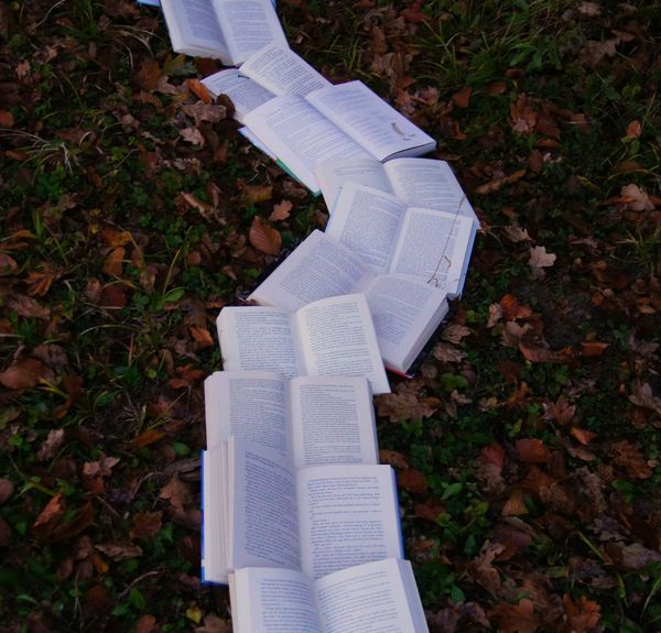 🚦Traefik 3.0 What's New & 🐳DockerSlim Debug - CNDO #62