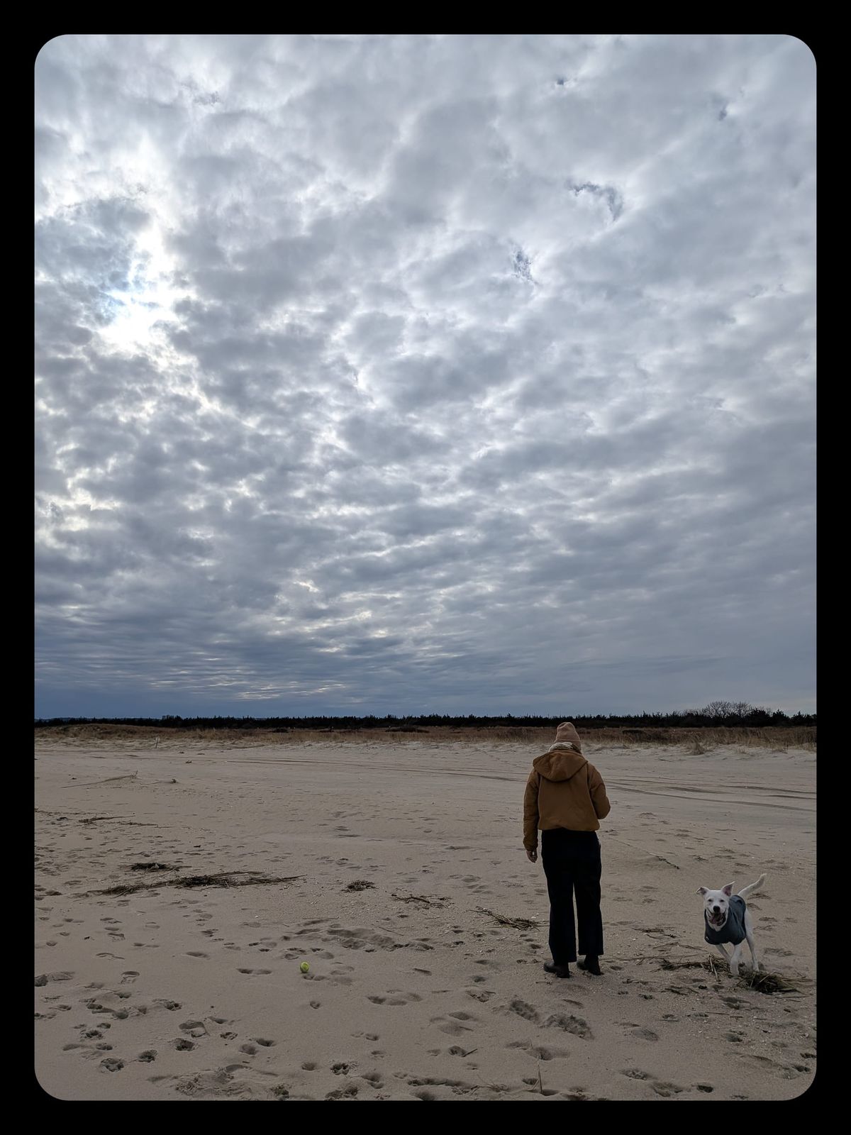 Sandy Hook