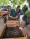 San Mateo County Sustainability