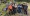 Broom Pulls, a Dog Hike in Costume and a Ballot Party at Manny's: Your Bay Area Impact Week, October 26 to November 1