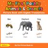 My First Pashto Animals & Insects Picture Book