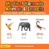 My First Kannada Animals & Insects Picture Book