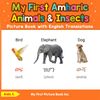 My First Amharic Animals & Insects Picture Book