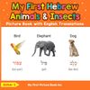 My First Hebrew Animals & Insects Picture Book