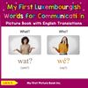 My First Luxembourgish Words for Communication Picture Book