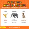 My First Irish Animals & Insects Picture Book