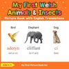 My First Welsh Animals & Insects Picture Book