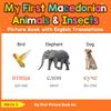 My First Macedonian Animals & Insects Picture Book