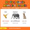My First Gaelic Animals & Insects Picture Book