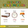 My First Irish Things Around Me Picture Book