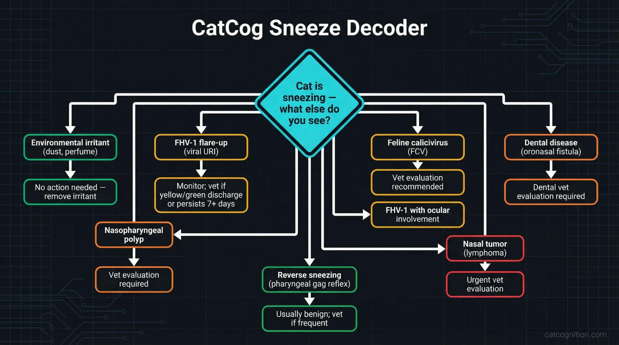 A flowchart decision tree that classifies cat sneezing into eight pattern categories based on discharge type, laterality, accompanying symptoms, and timeline. Each branch leads to a most likely cause and a color-coded action level: green for monitor at home, amber for schedule a vet visit, and red for urgent veterinary evaluation.