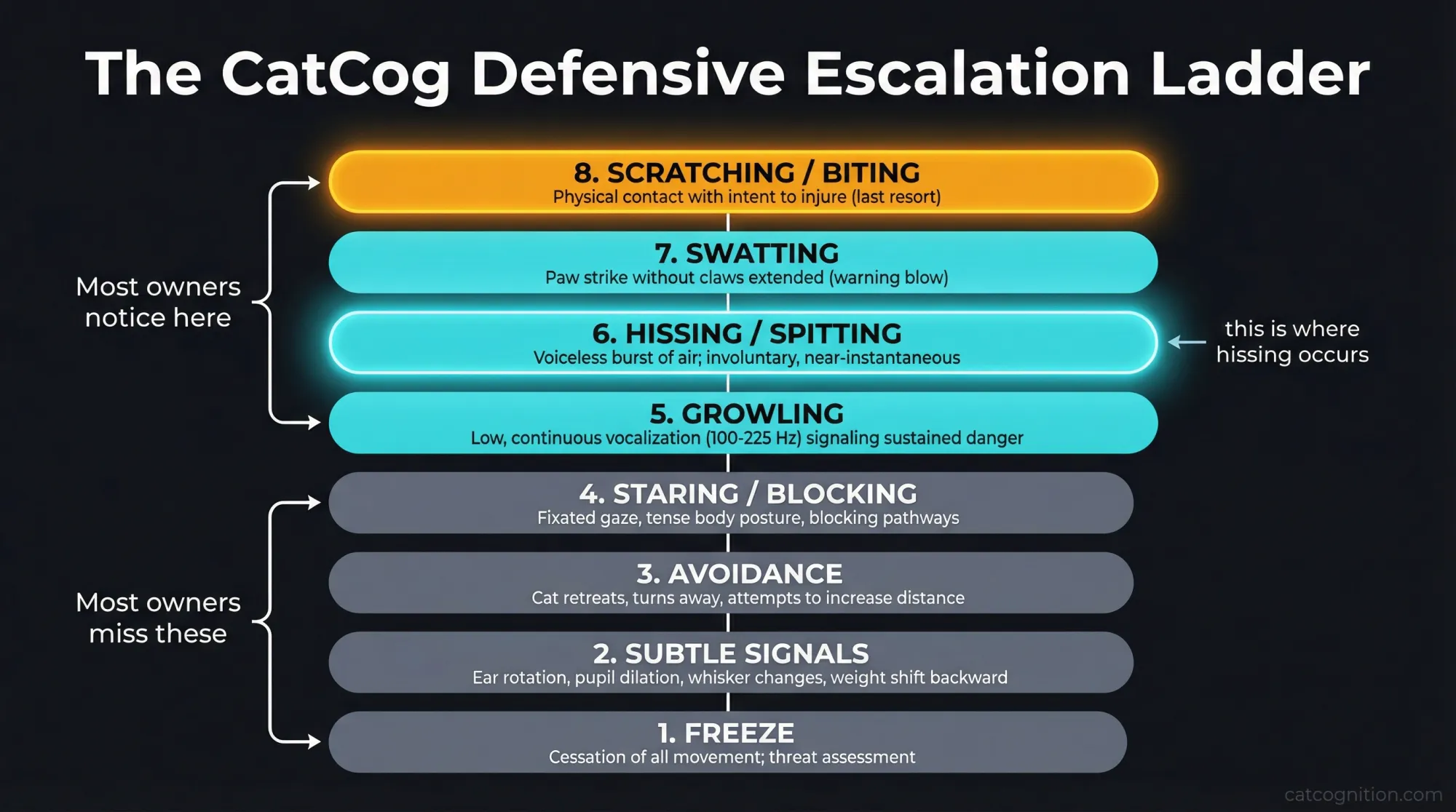 A vertical ladder diagram showing the eight stages of feline defensive escalation: freeze, subtle signals, avoidance, staring/blocking, growling, hissing/spitting, swatting, and scratching/biting. Step 6 (hissing) is highlighted as the point where most owners first notice defensive behavior. Based on the 2024 AAFP Intercat Tension Guidelines and synthesized behavioral research.
