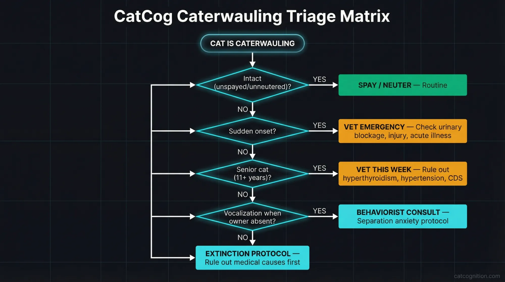 A diagnostic flowchart that guides cat owners through four decision points — reproductive status, onset pattern, age, and owner-absence triggers — to identify the most likely cause of nighttime caterwauling and the matched intervention, from spaying to emergency veterinary care to behavioral extinction protocols.