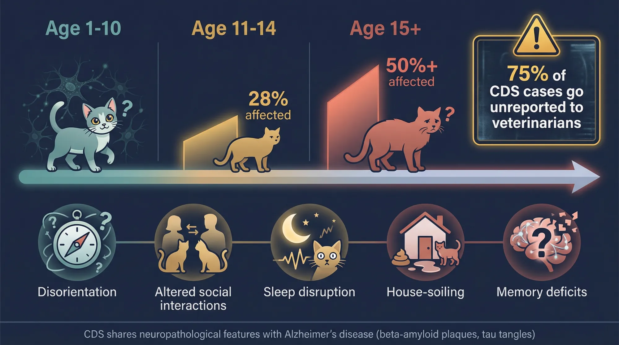 Age progression chart showing feline cognitive dysfunction prevalence: 28% of cats aged 11-14 and over 50% of cats aged 15+ are affected, with 75% of cases going unreported