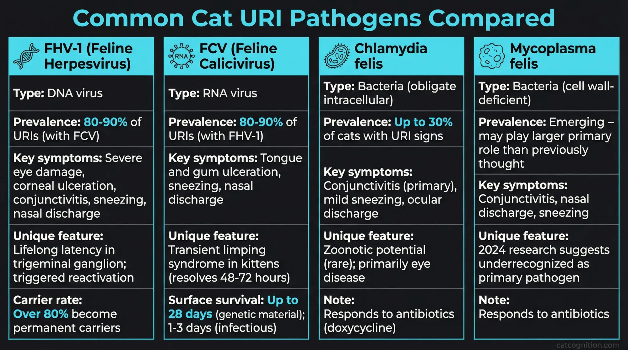A four-column comparison infographic showing the key differences between feline herpesvirus type 1 (FHV-1), feline calicivirus (FCV), Chlamydia felis, and Mycoplasma felis. Each column displays the pathogen type, prevalence in URI cases, distinguishing symptoms, unique clinical features, and carrier or surface survival data.