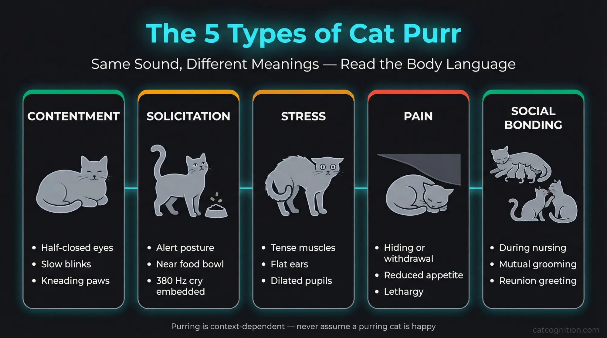 Comparison infographic showing the 5 distinct types of cat purring: contentment (relaxed posture, slow blinks, kneading), solicitation (alert posture near food with embedded 380 Hz cry frequency), stress (tense muscles, flat ears, dilated pupils), pain (hiding, reduced appetite, lethargy), and social bonding (during nursing, mutual grooming, reunion greetings). Color-coded by emotional valence with green for positive, amber for ambiguous, and red-orange for concerning contexts.