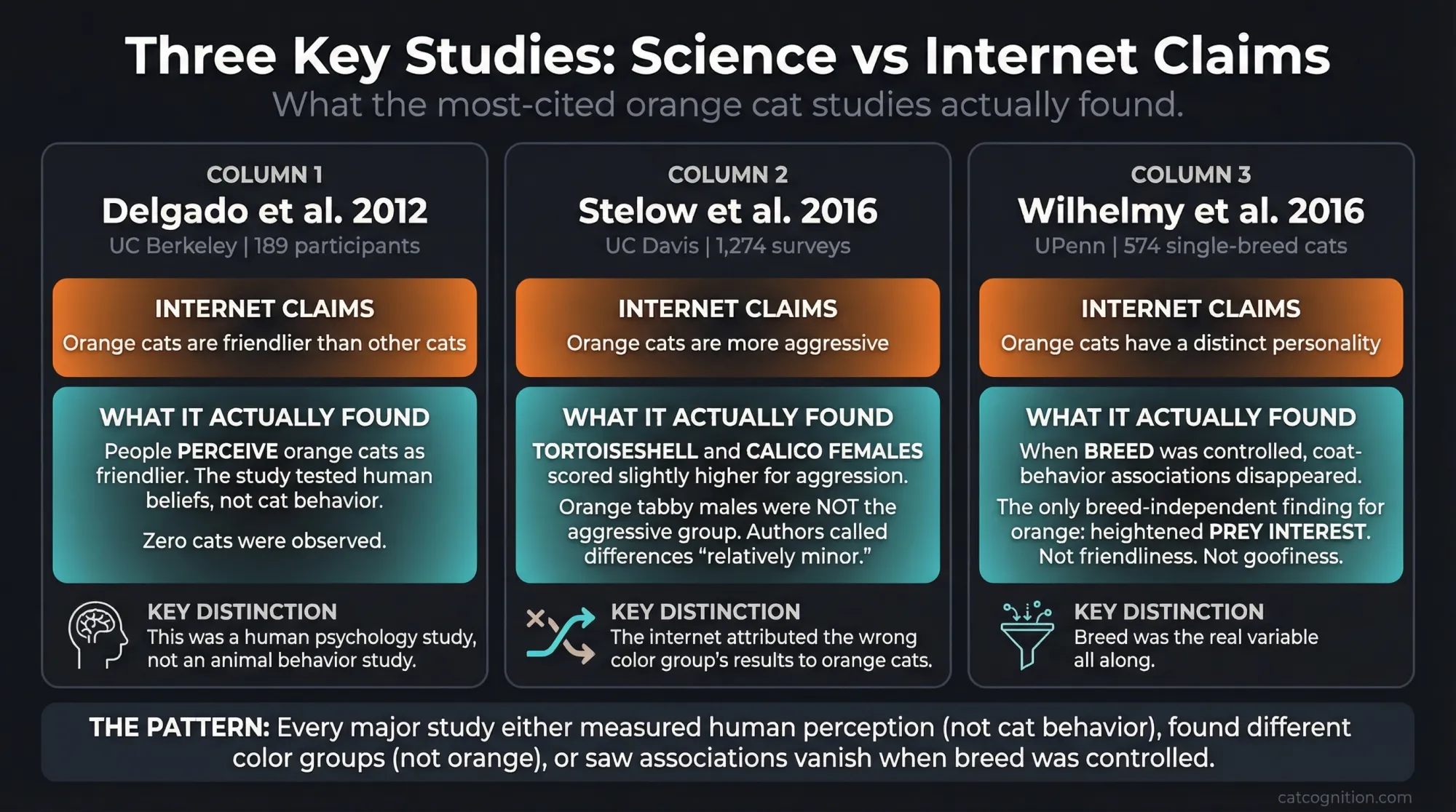 Comparison chart showing what three key orange cat studies actually found versus internet claims