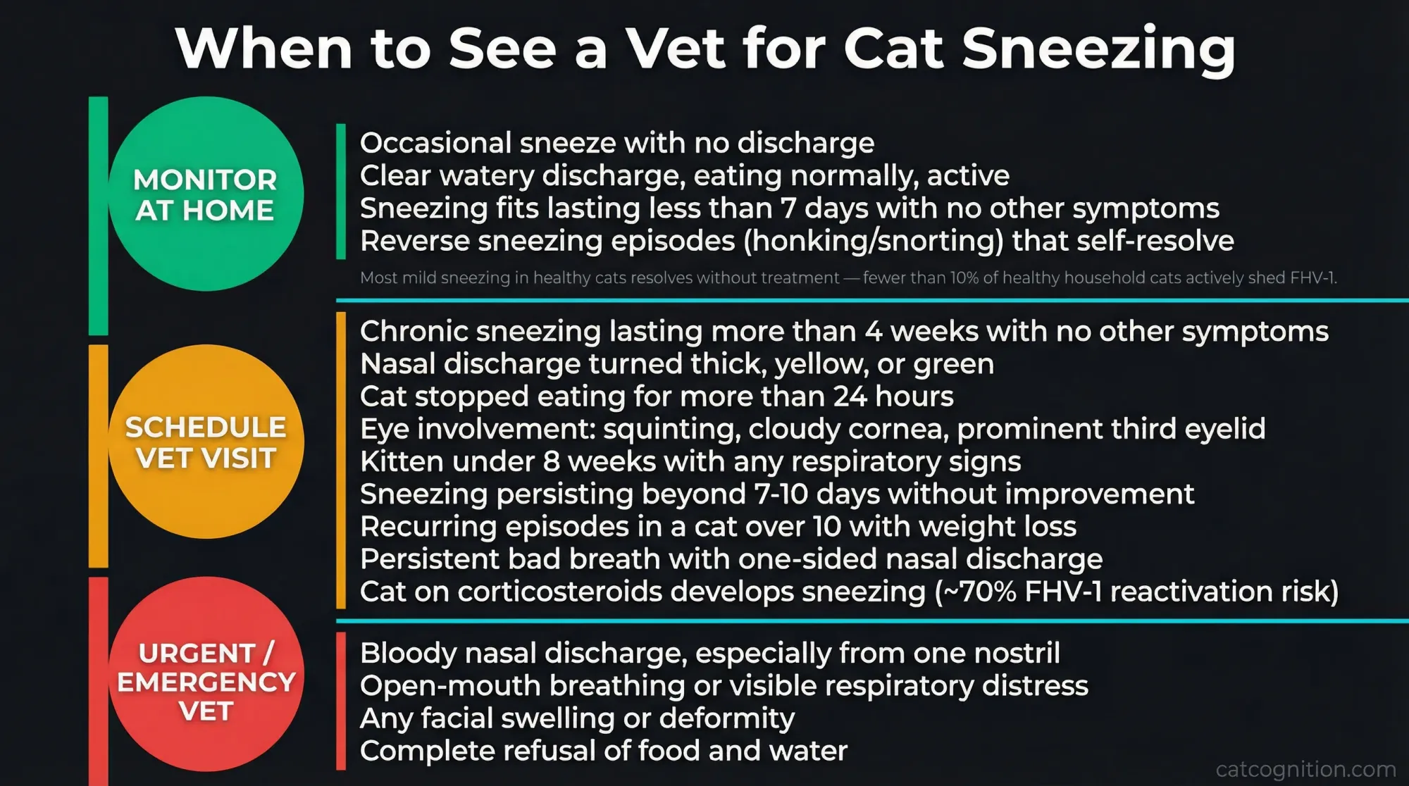 A three-tier infographic using traffic-light color coding to help cat owners determine when cat sneezing requires veterinary attention. The green tier covers benign symptoms to monitor at home. The amber tier lists signs warranting a scheduled vet visit, including yellow or green discharge, appetite loss beyond 24 hours, and eye involvement. The red tier flags emergencies like bloody nasal discharge, open-mouth breathing, and facial deformity.