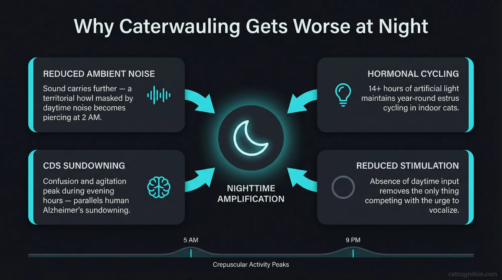 A convergence infographic depicting the four biological mechanisms that make caterwauling worse at night: reduced ambient noise allowing territorial calls to carry further, artificial lighting maintaining year-round estrus cycling, cognitive dysfunction sundowning peaking during evening hours, and reduced environmental stimulation removing behavioral outlets that compete with vocalization.