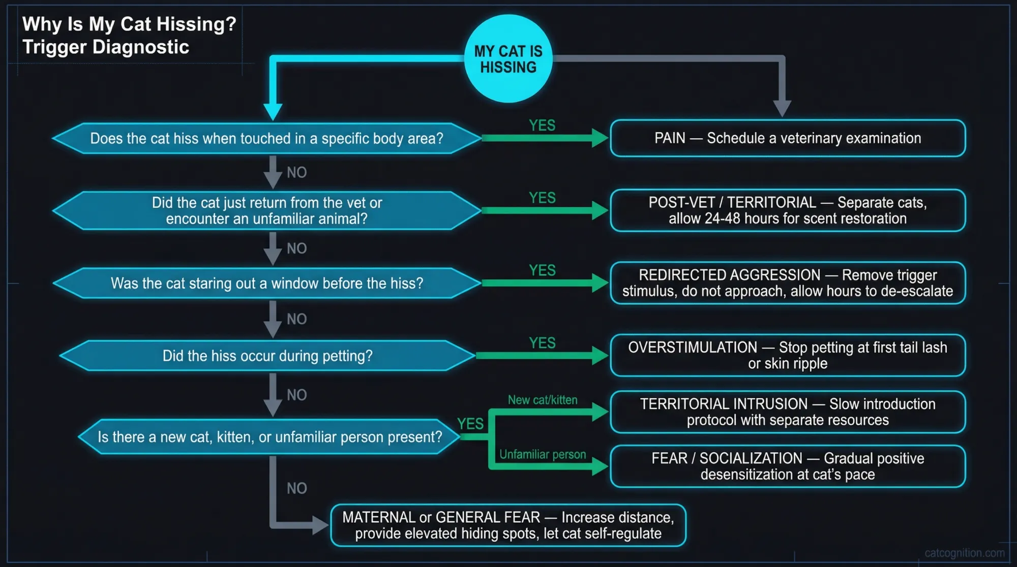 Why Is My Cat Hissing? Trigger Diagnostic Flowchart