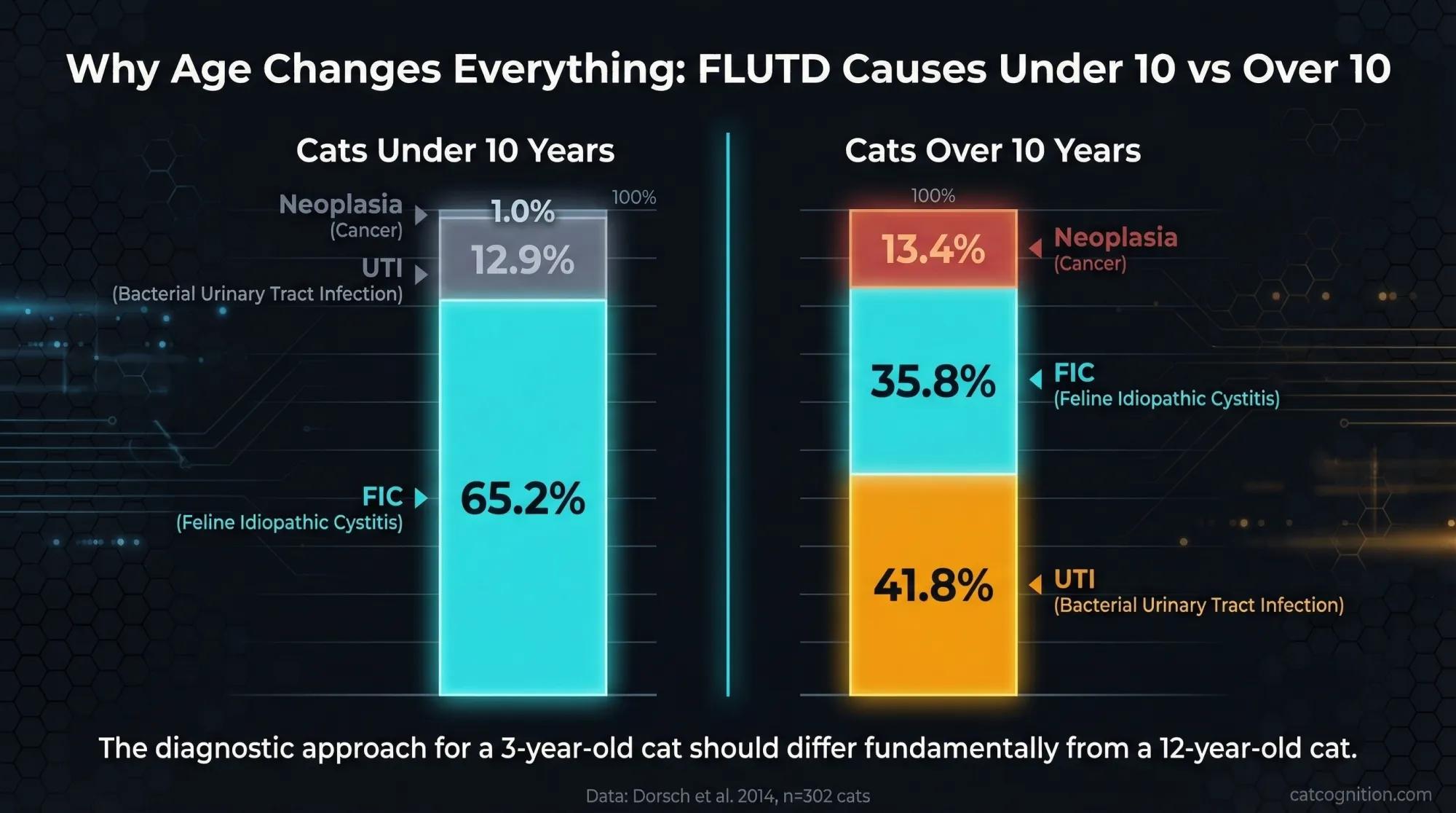 A data visualization comparing the prevalence of feline lower urinary tract disease causes in cats under 10 years versus cats over 10 years. In younger cats, feline idiopathic cystitis (FIC) accounts for 65.2% of cases while UTI is only 12.9%. In older cats, UTI surges to 41.8% and FIC drops to 35.8%, with neoplasia rising from 1.0% to 13.4%. Based on Dorsch et al. 2014 retrospective study of 302 cats.