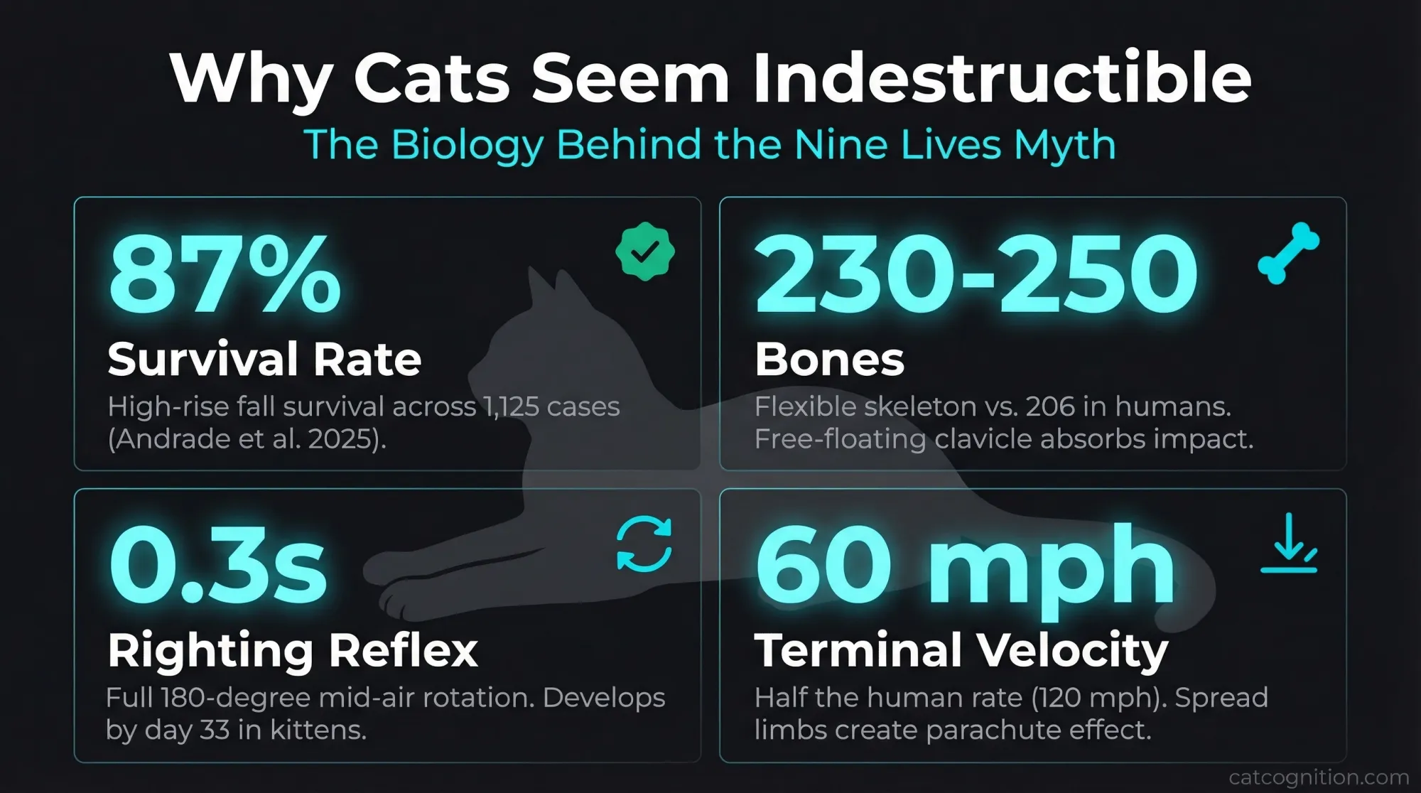 Statistics infographic showing four key biological facts behind the nine lives myth: 87% high-rise fall survival rate across 1,125 cases, 230-250 bones in a flexible skeleton, 0.3-second righting reflex developing by day 33, and 60 mph terminal velocity (half the human rate).