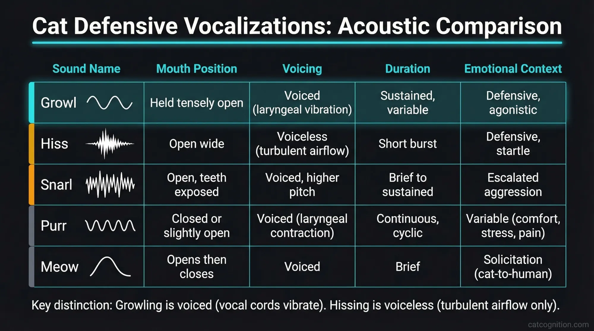 Educational infographic comparing five feline vocalizations (growl, hiss, snarl, purr, meow) across four acoustic dimensions. Highlights the critical voiced versus voiceless distinction between growling (laryngeal vibration) and hissing (turbulent airflow), with waveform icons illustrating each sound pattern.