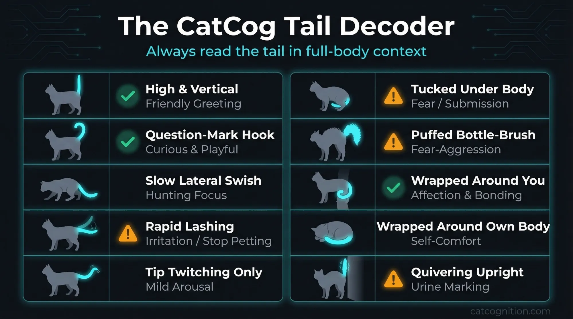 An infographic reference chart showing 10 cat tail positions with corresponding emotional meanings. Each position is illustrated with a cat silhouette and labeled with the tail posture name and decoded emotional state, including friendly greeting (tail high), hunting focus (slow swish), irritation (rapid lashing), fear (tucked), and affection (wrapped).