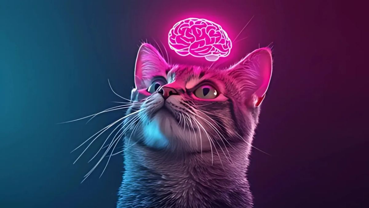 The Psychology of Cats: What Science Really Knows About Feline Minds