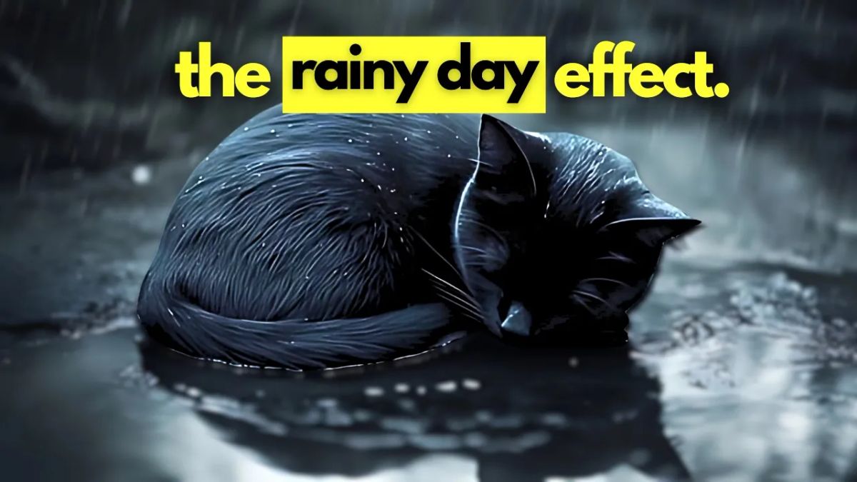 Why Do Cats Sleep More When It Rains? The Science Explained